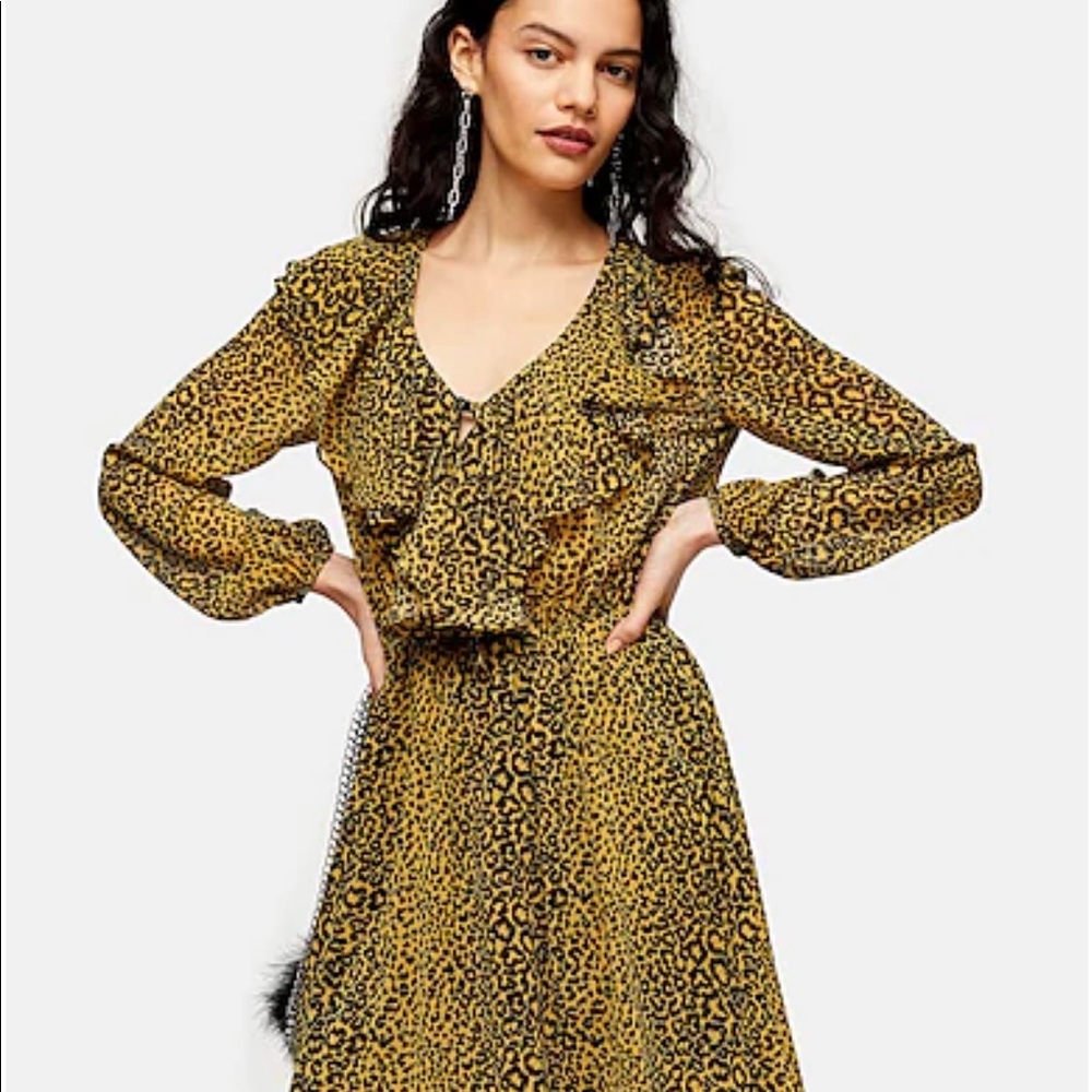 Topshop Leopard Dress